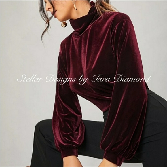 Burgundy Velour Blouse - Picture 2 of 5